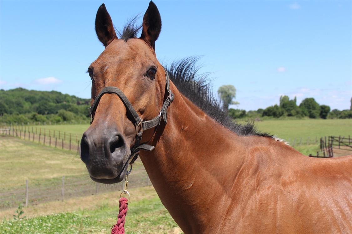 Lire la suite à propos de l’article BHUTAN