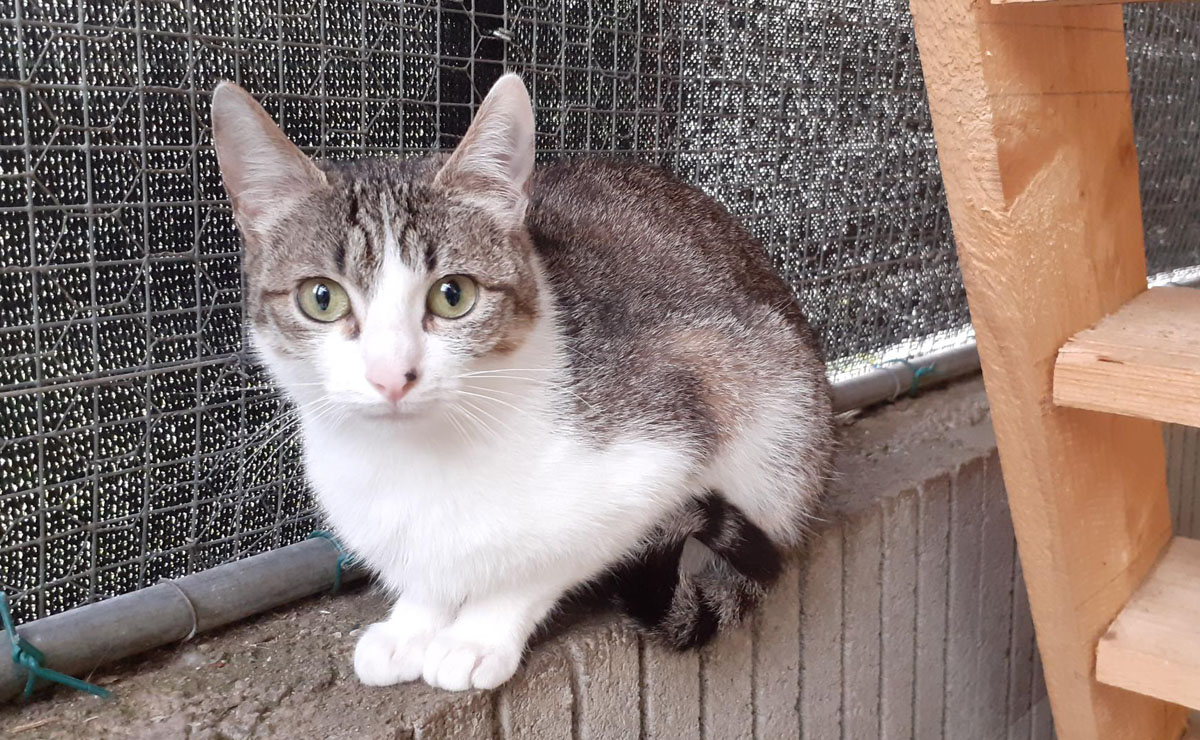 Lire la suite à propos de l’article YEARS